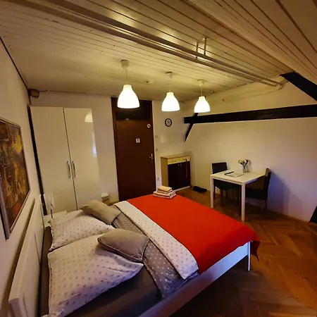 Viksi Ljubljana