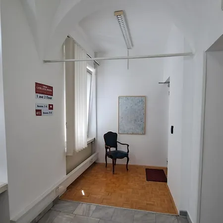 Viksi * Ljubljana