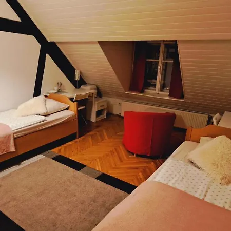 Guest house Viksi *