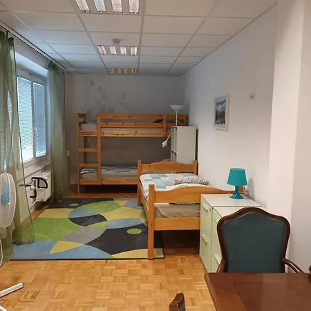 Viksi Guest house *