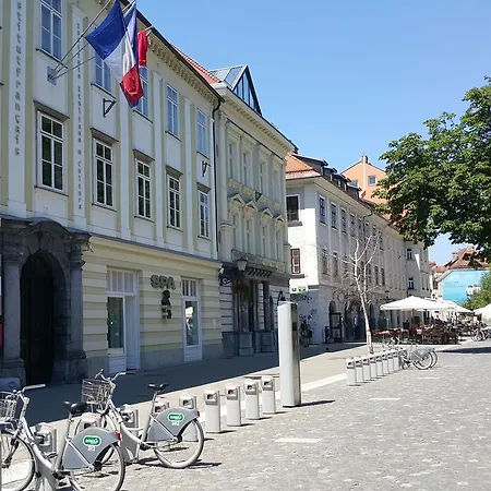 Viksi *