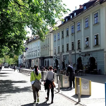 Viksi Ljubljana