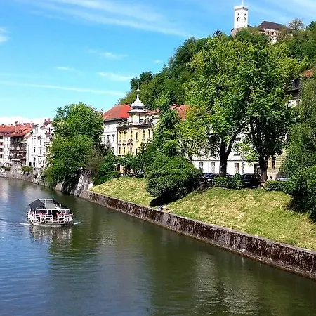 Viksi * Ljubljana