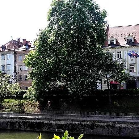 Hiša za goste Viksi *