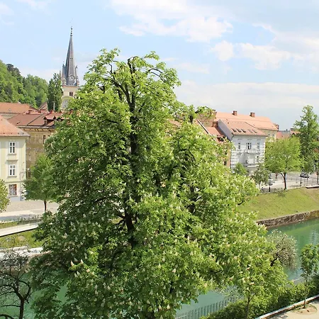 Gæstehus Viksi Ljubljana